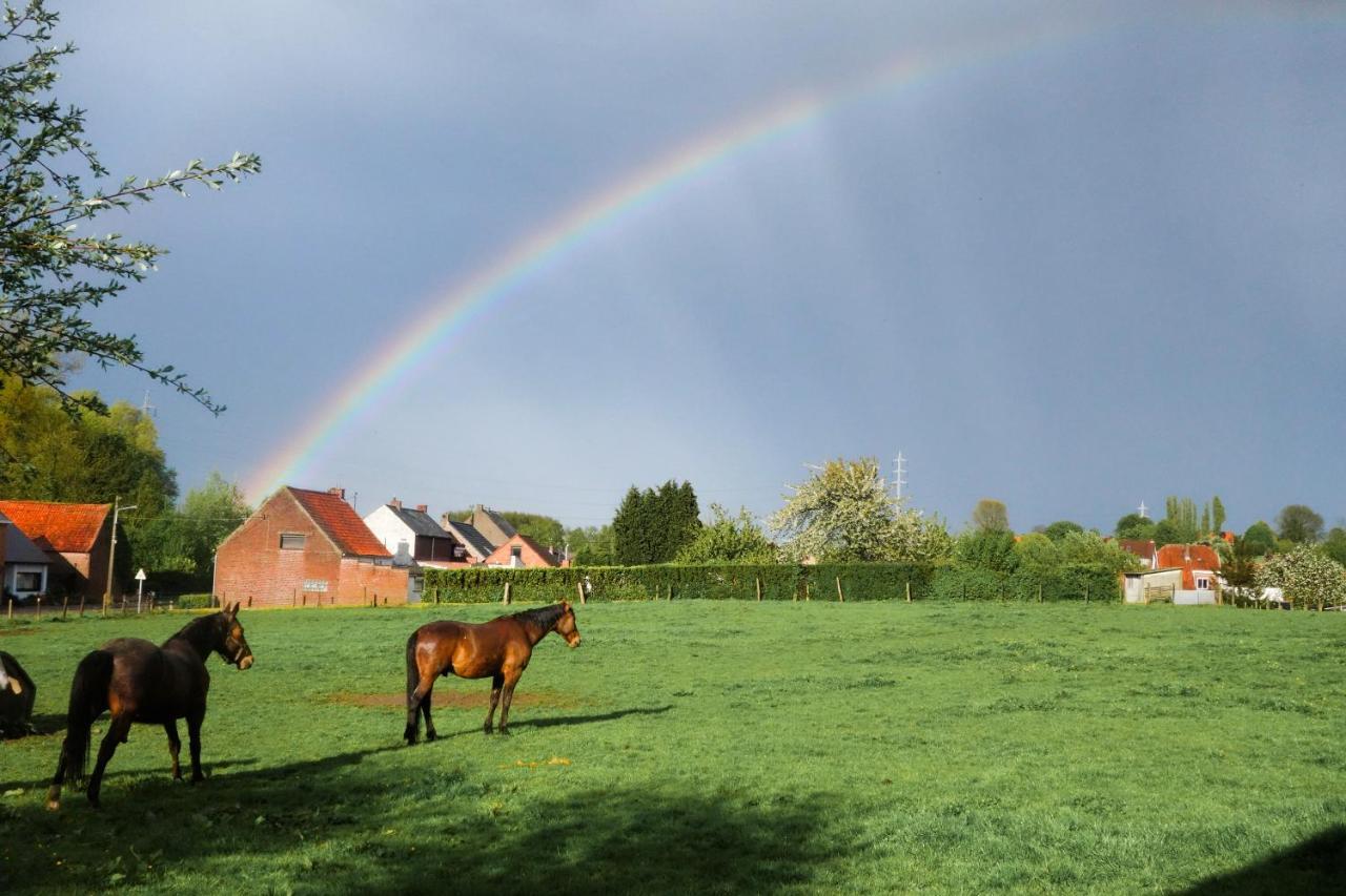 Gite Rural Les Petites Tetes Leuze-en-Hainaut Esterno foto