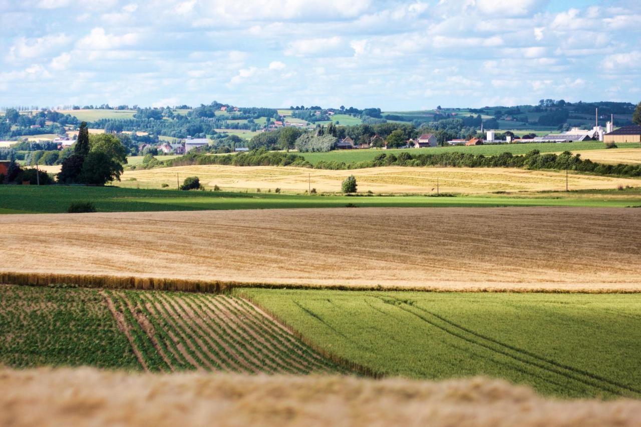 Gite Rural Les Petites Tetes Leuze-en-Hainaut Esterno foto