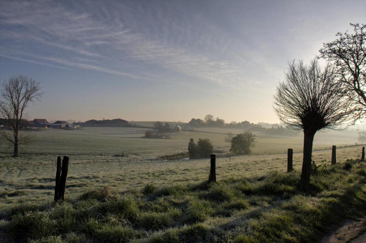 Gite Rural Les Petites Tetes Leuze-en-Hainaut Esterno foto