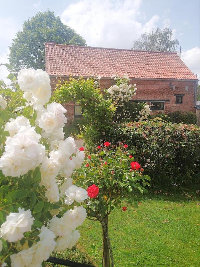 Gite Rural Les Petites Tetes Leuze-en-Hainaut Esterno foto